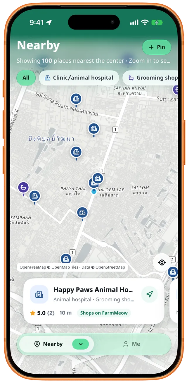 Nearby map on iPhone